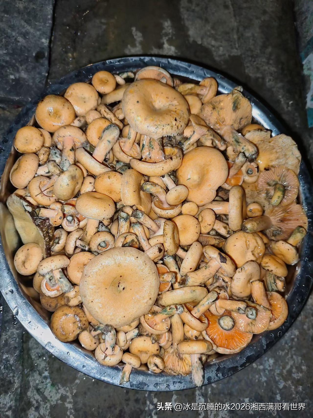 8月份入秋，天气依旧酷热难耐，当然时不时来场秋雨也是非常到位的，因为雨后天晴大山
