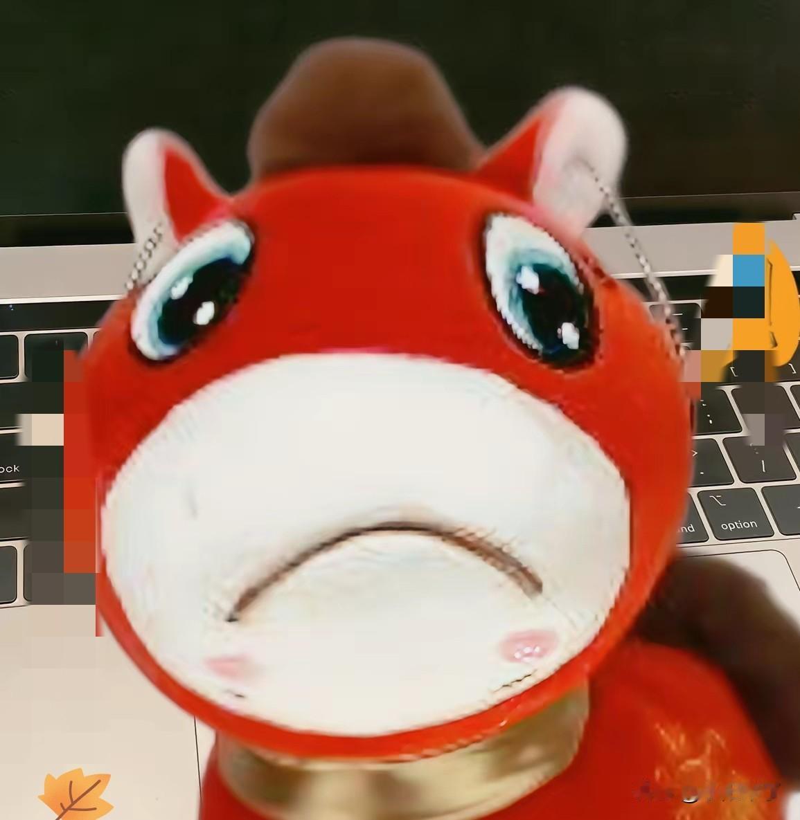 义乌的“哭哭”马
千万不能买
我跟风买了一个直接emo了

        本想