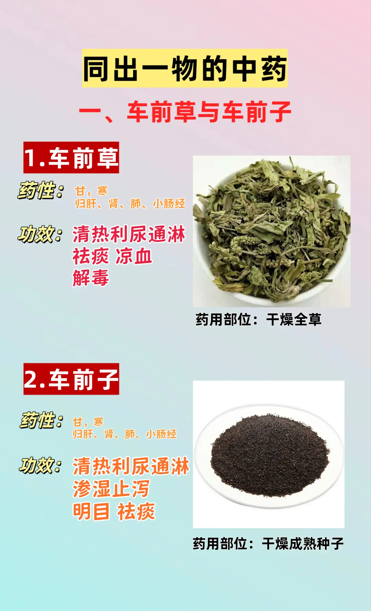 同出一物的中药。车前草与车前子 益母草与茺蔚子 紫苏叶与紫苏子 冬瓜皮与冬瓜子