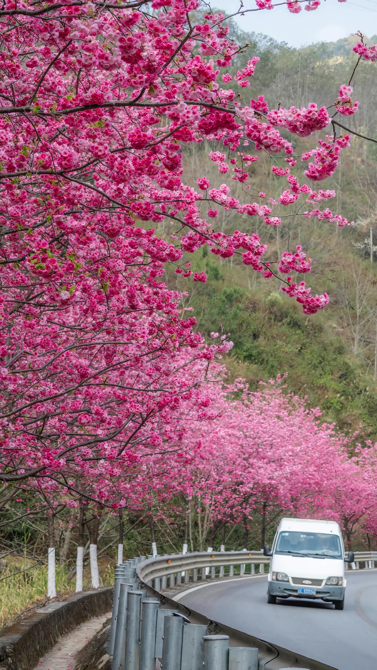 发人深省的话：
混得不好的人，大多是回避型人格。这类人最大的特征就是：怕。害怕抛