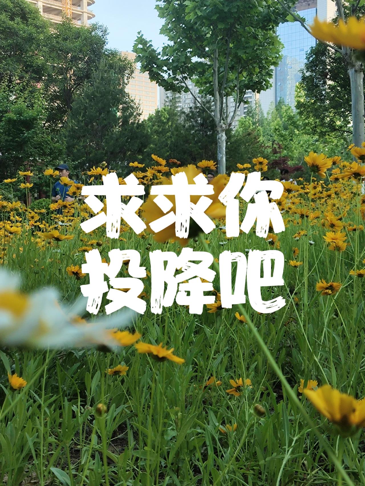为什么要抵抗？为什么不学委内瑞拉？或者像加沙一样？
看看把我们打成了什么样子？