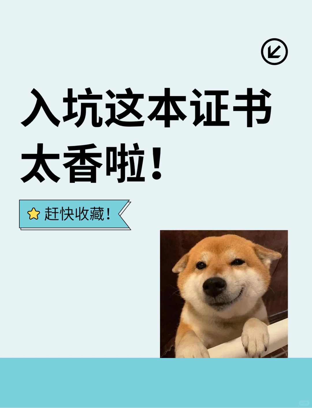 入坑这本证书！太香啦！