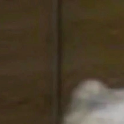 相信梦想是价值的源泉，相信眼光决定未来的一切，相信成功的信念比成功本身更重要，相