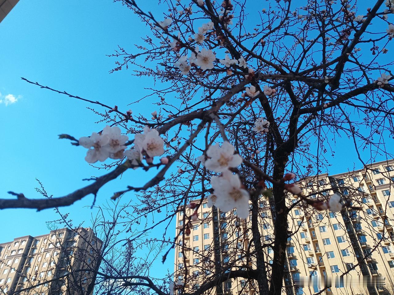没啥好办法，失眠就是病了，我熬了两个月，一直吃中成药，时好时坏，刚开始半夜两点可