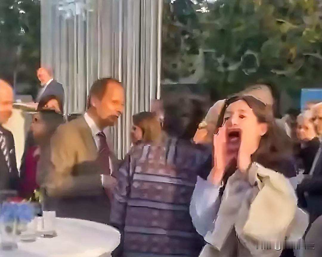 以色列和平活动家怒斥驻德大使，“我们在庆祝什么？大规模屠杀就没有独立可言，搞占领