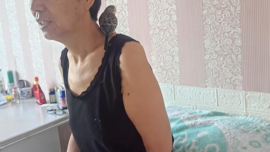 你们见过鹦鹉安静的听主人念佛的吗
我家的小鹦鹉才买回来8天，平时我也不和它互动，
