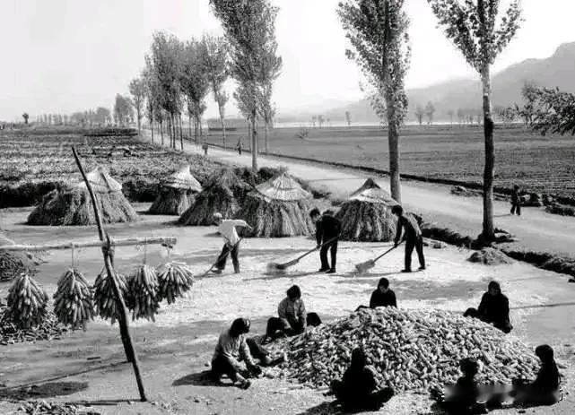 有人说若生产队还在，老百姓一定比现在还过得好，大家都走上了富裕的道路。
我认为这