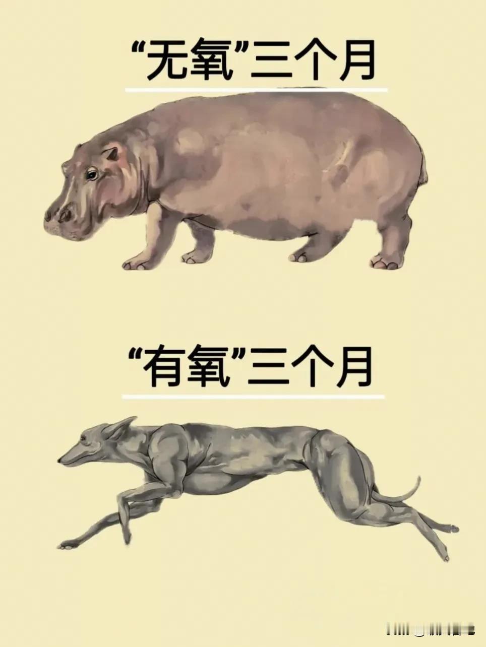 一图说明无氧运动和有氧运动在减脂塑型方面的区别！非常形象！#先力量再有氧# #有