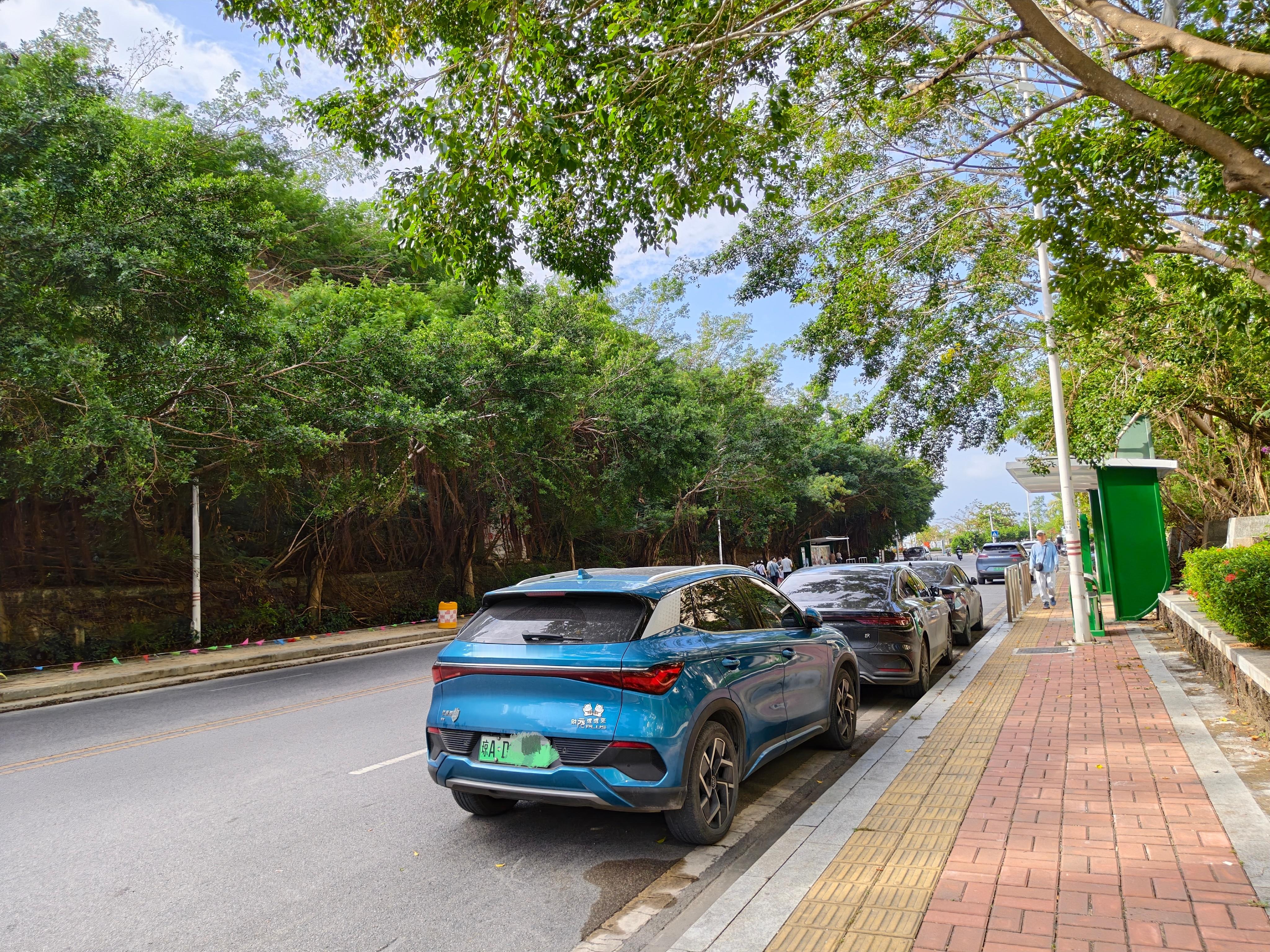 这辆比亚迪元后面的标   车主贴了几个字 变成财源滚滚来 寓意非常好 