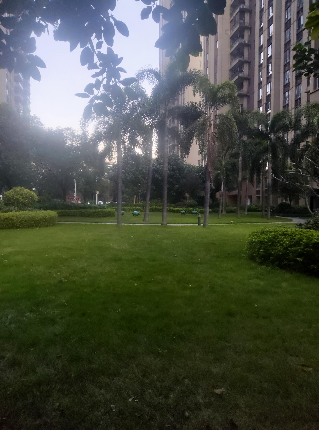 特朗普的年终演讲，
怎么说呢，就很“特朗普”。
他在演讲里使劲自夸，
把物价上涨