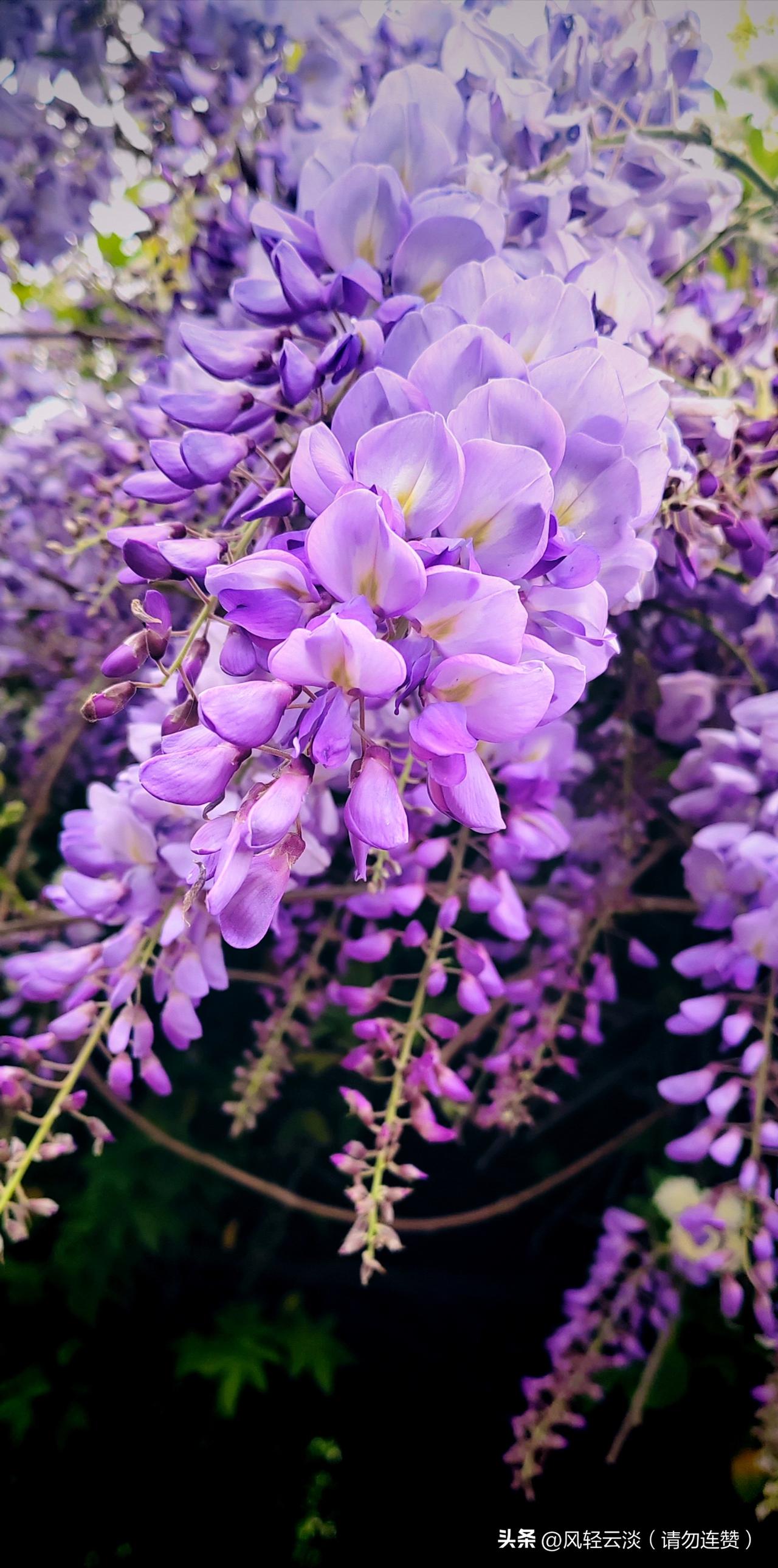 善良从不是吃亏的软肋，而是藏在岁月里的福报：
它带来旁人的真心相待，低谷时的伸手