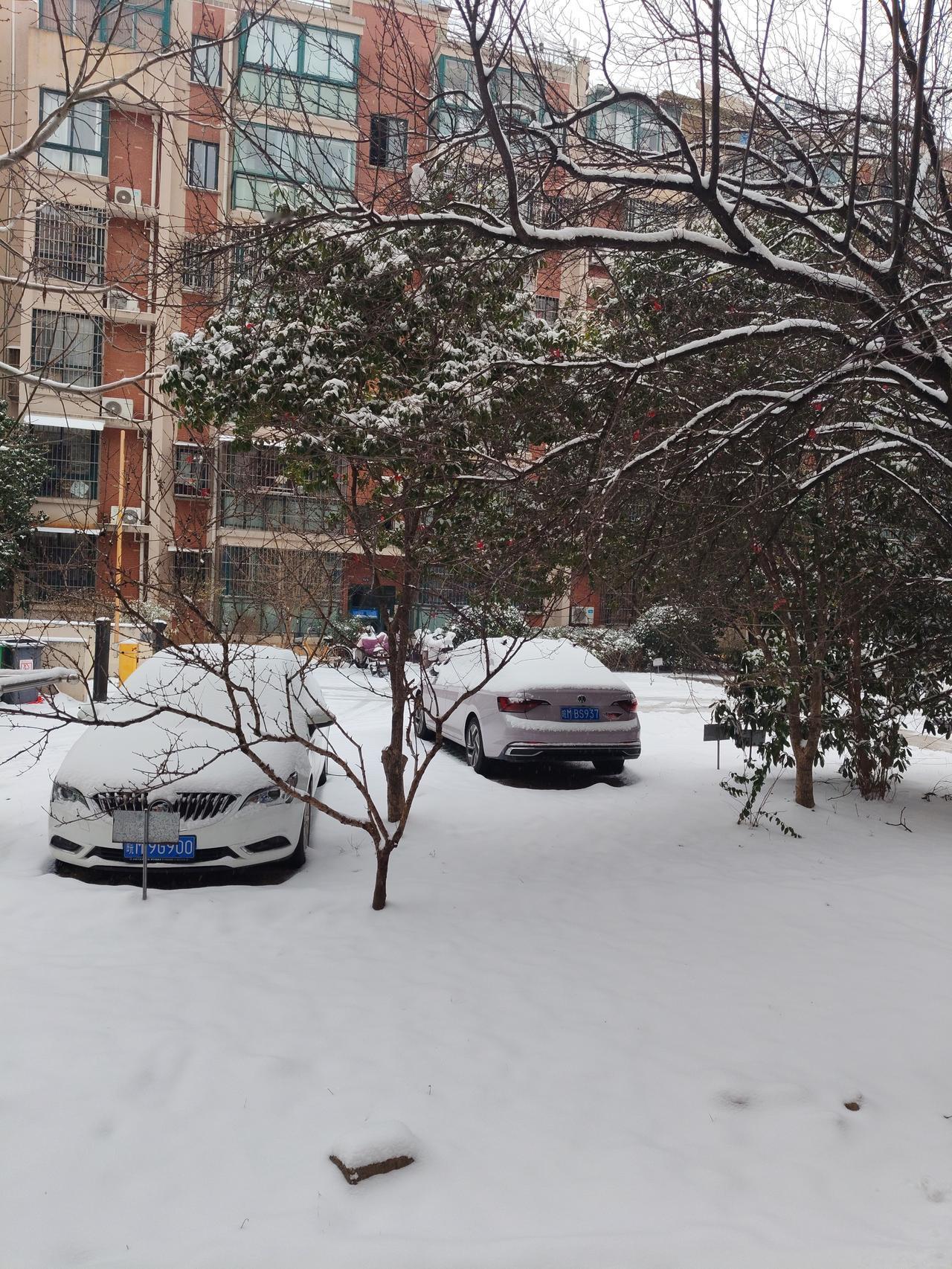 好几年没见过下雪了，一夜醒来白雪皑皑，空气清新，感觉真不错呀！
        