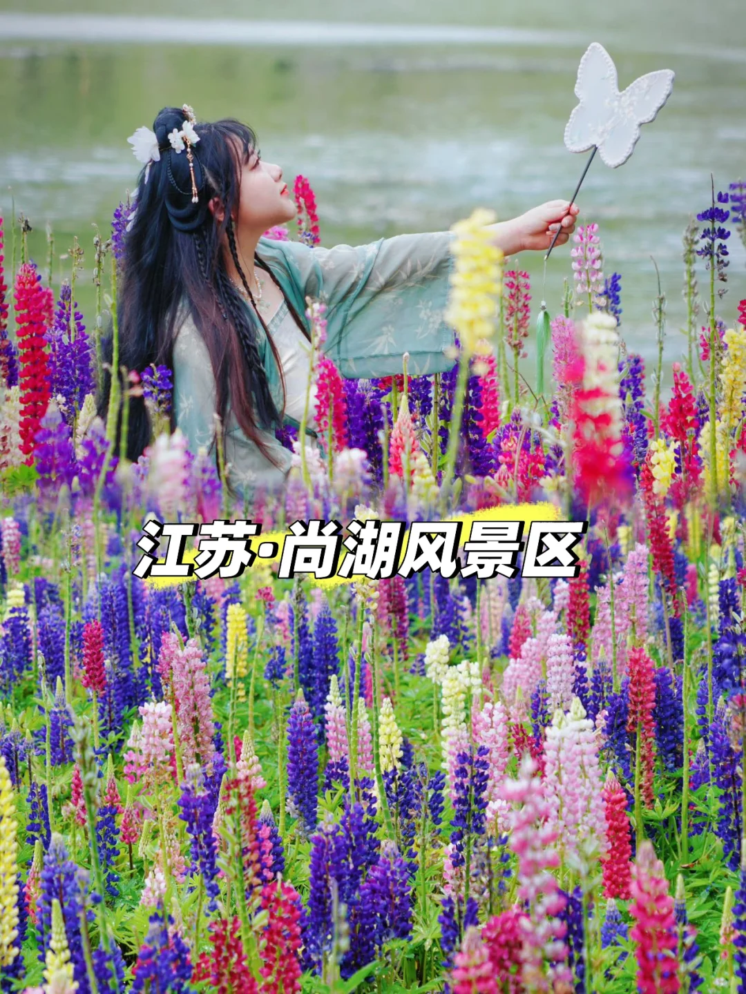 爆！尚湖隐藏花海秘境，承包你朋友圈C位美照