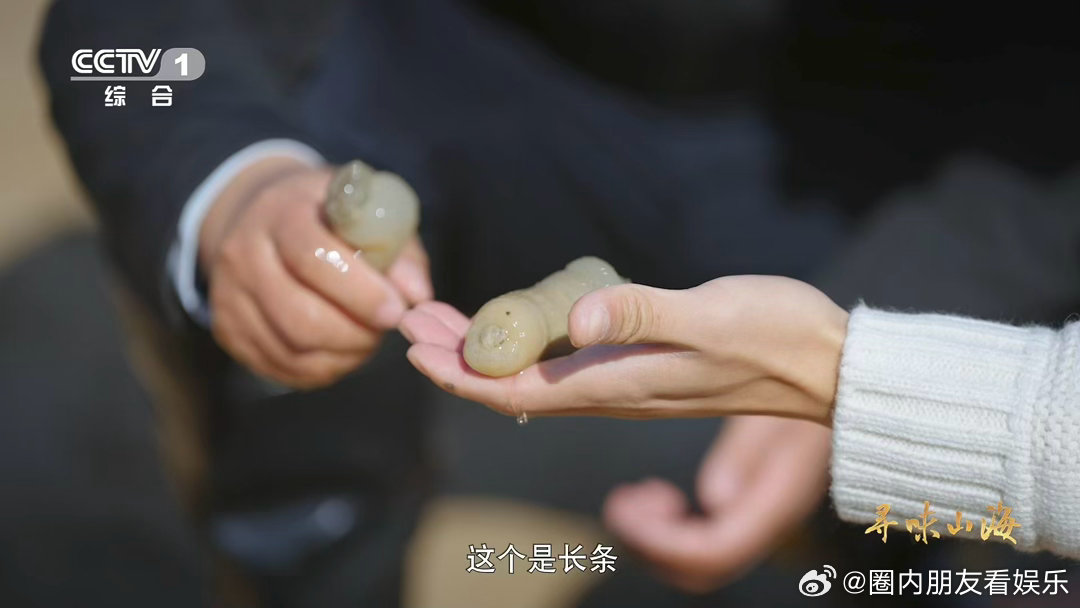 沙蒜不是蒜是海鲜 浙江的沙蒜是海葵！滩涂滋养得口感脆糯，肉质紧实，这鲜货太诱人?