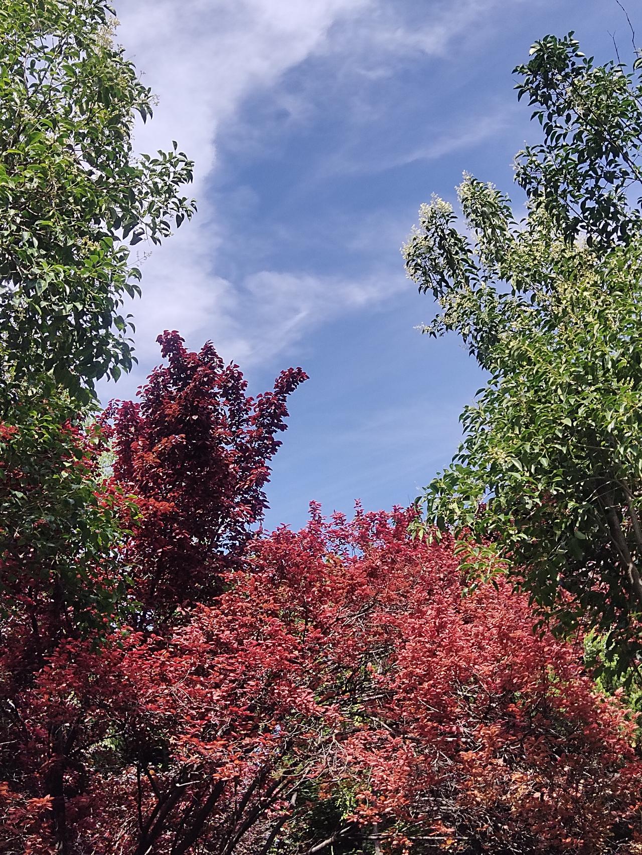 昨晚下楼遛弯，看见车棚里有辆电动车亮着灯。老公说：“也不知是谁，忘了拔车钥匙了，