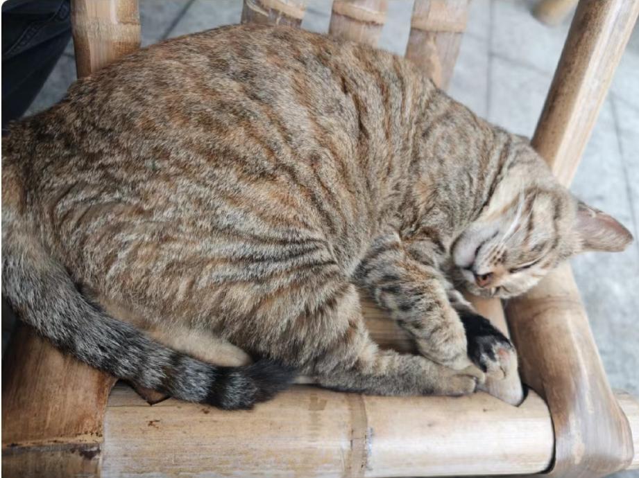 这是我做安宁疗护工作以来遇到最感人的一个家庭。感人之处在于：

1.  他的家庭