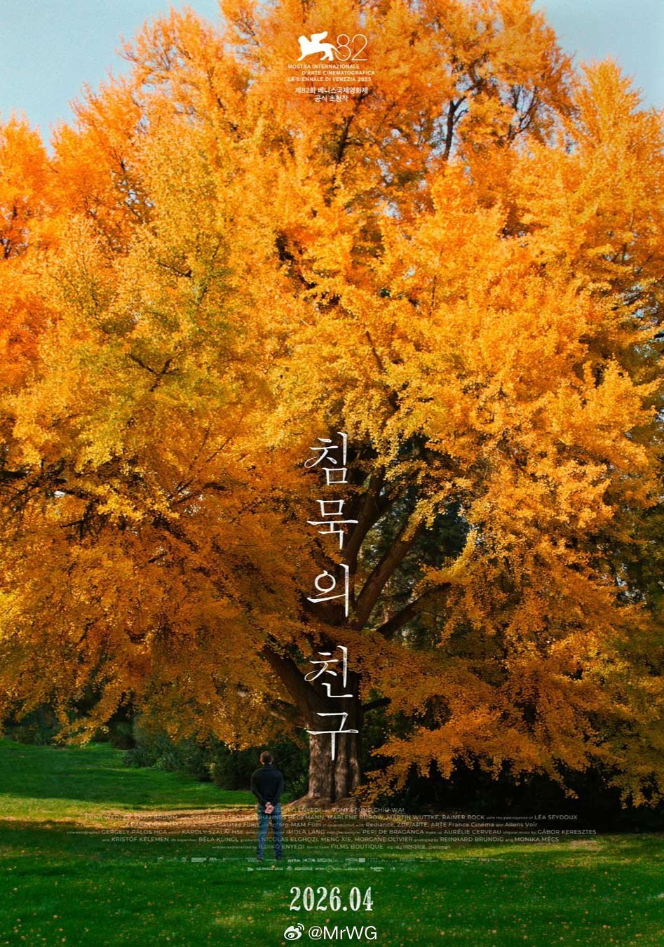 梁朝伟影讯 一棵树🌲的青黄荣枯——梁朝伟梁朝伟 主演、伊尔蒂科·茵叶蒂导演【寂