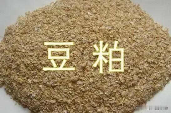 进入6月，国内豆粕市场正式迎来基本面逻辑切换窗口。经历前期持续累库、情绪偏弱的震