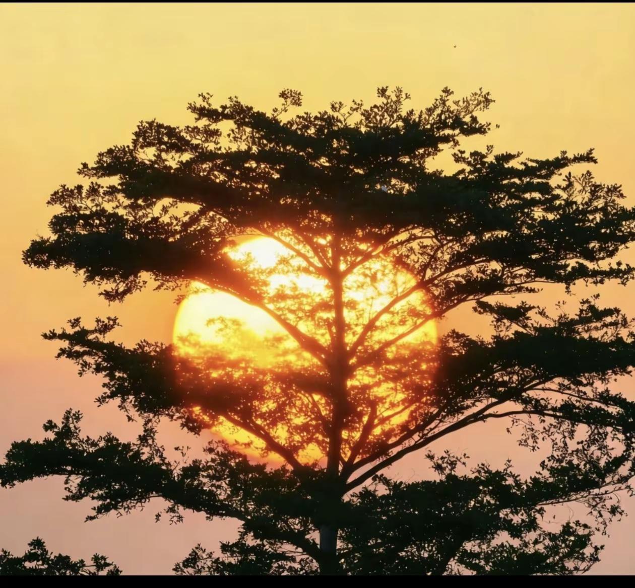 生活是尽力之后与一切温柔和解 治愈系风景