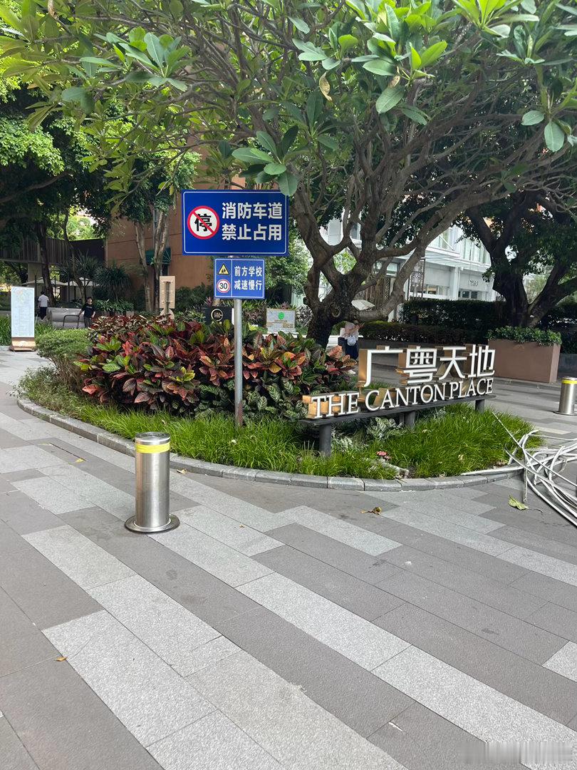 又来凯旋会会我们的VIP老朋友了 ​​​
