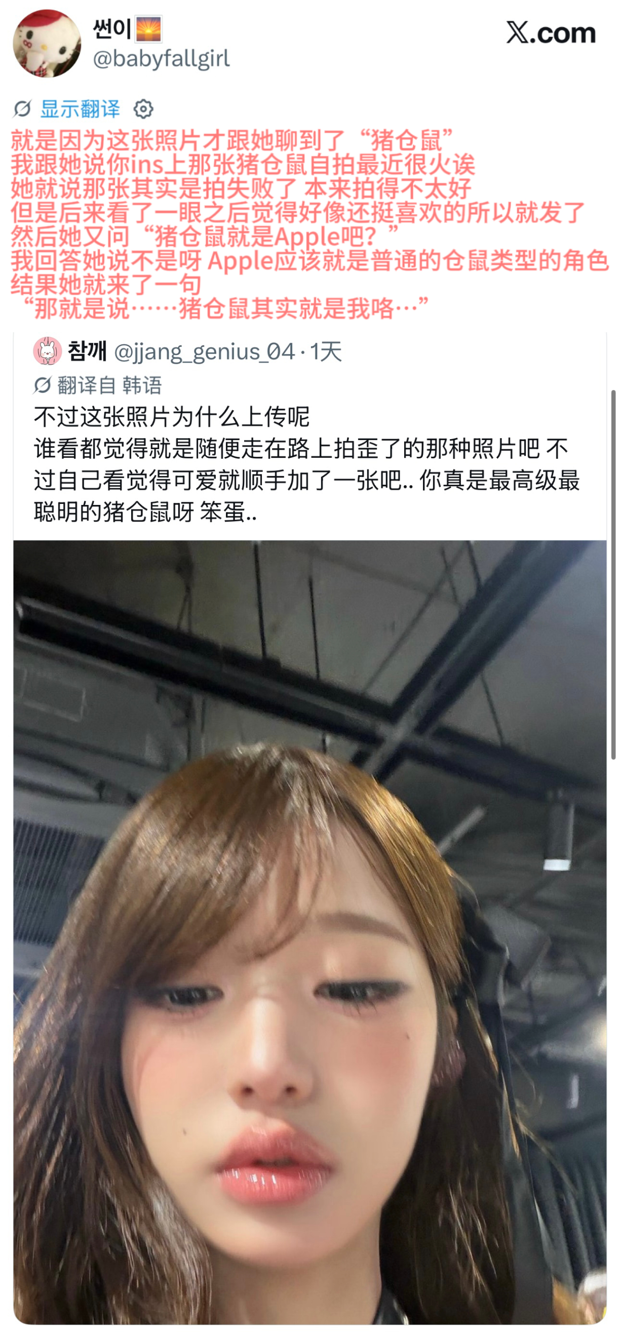 张元猪以前一直以为🍎的品种就是猪猪仓鼠所以粉丝才一直喊她猪猪仓鼠 今天才知道世