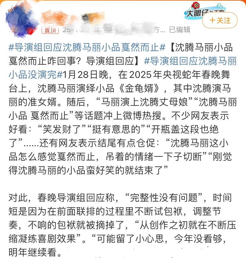 在2025年央视蛇年春晚中，沈腾与马丽合作的小品《金龟婿》引发了广泛关注。该小品