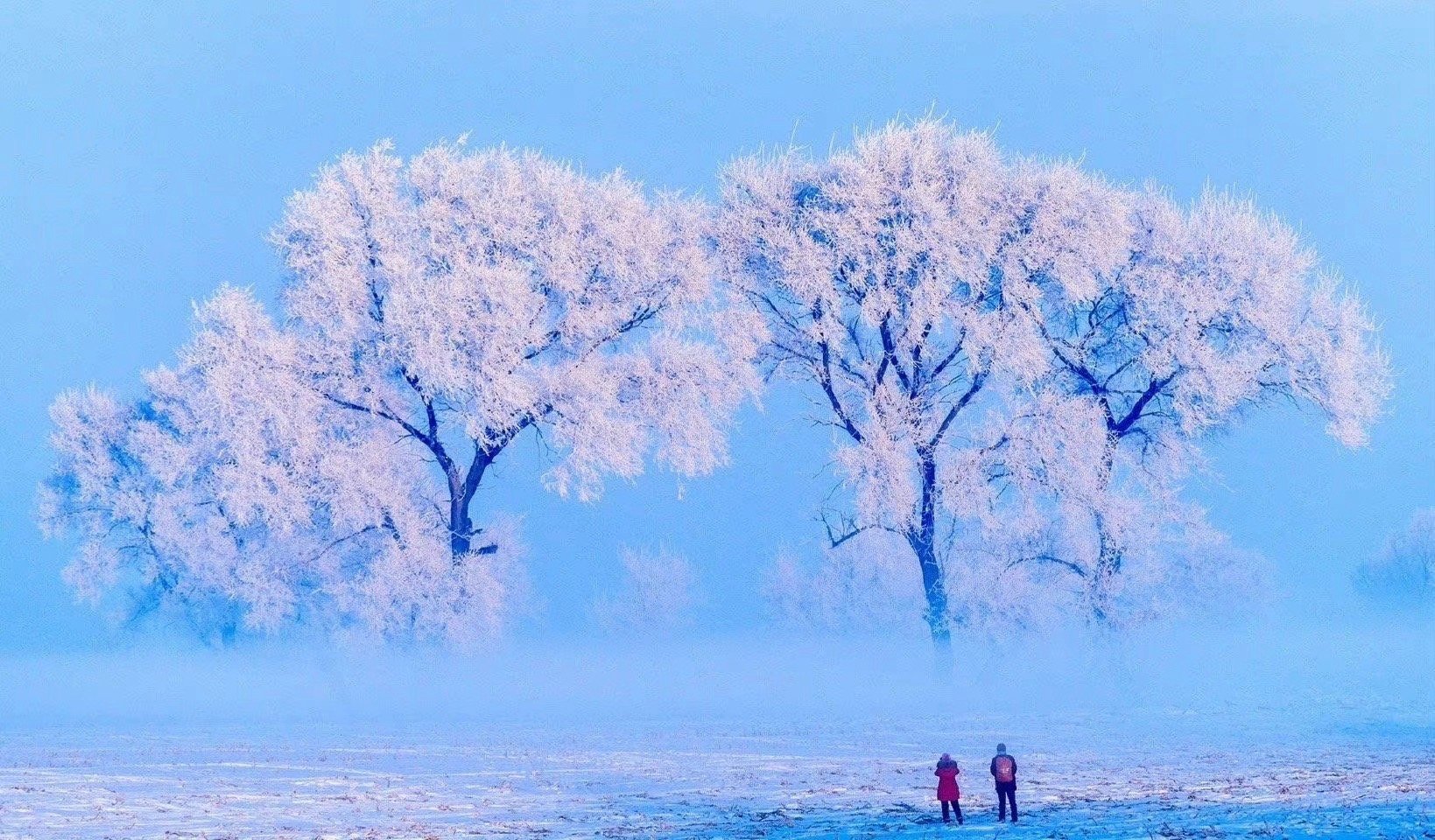 即刻出发去吉林  寒江雪柳，雾凇奇景。想目睹大自然的梦幻杰作吗？快来吉林赏雾凇！