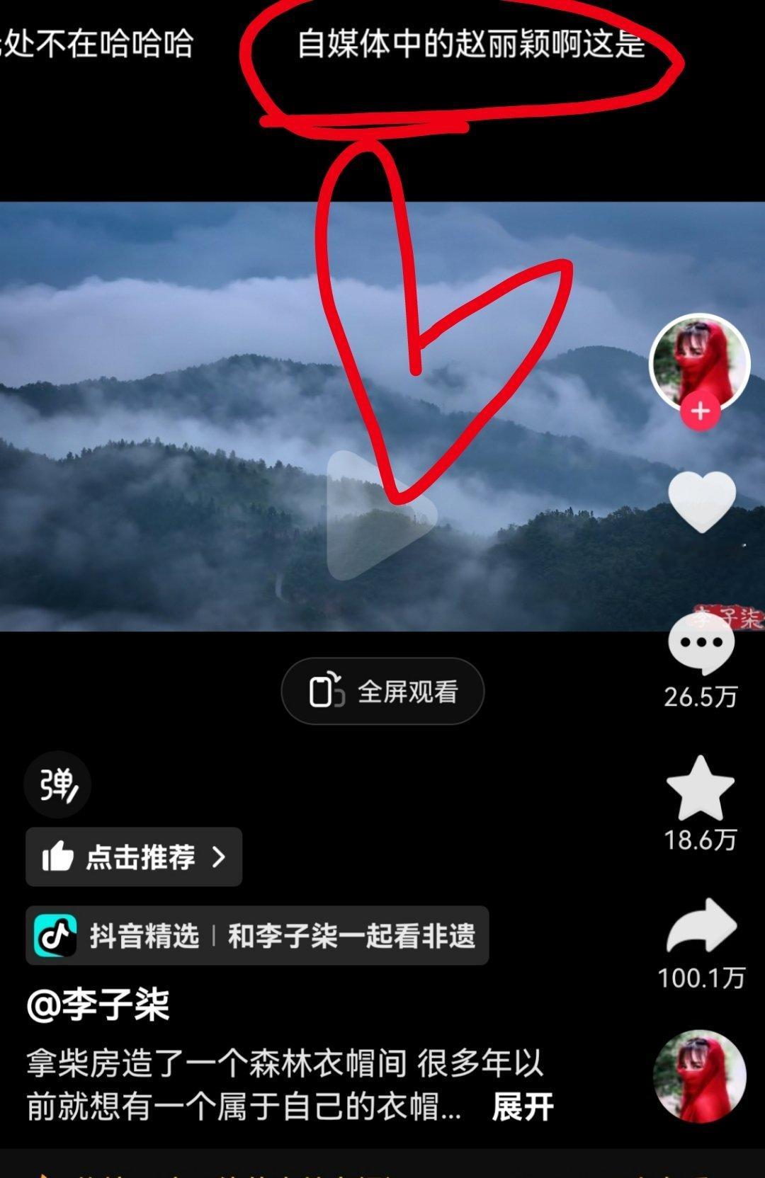 粉丝评价李子柒:自媒体中的赵丽颖[赞] ​​​