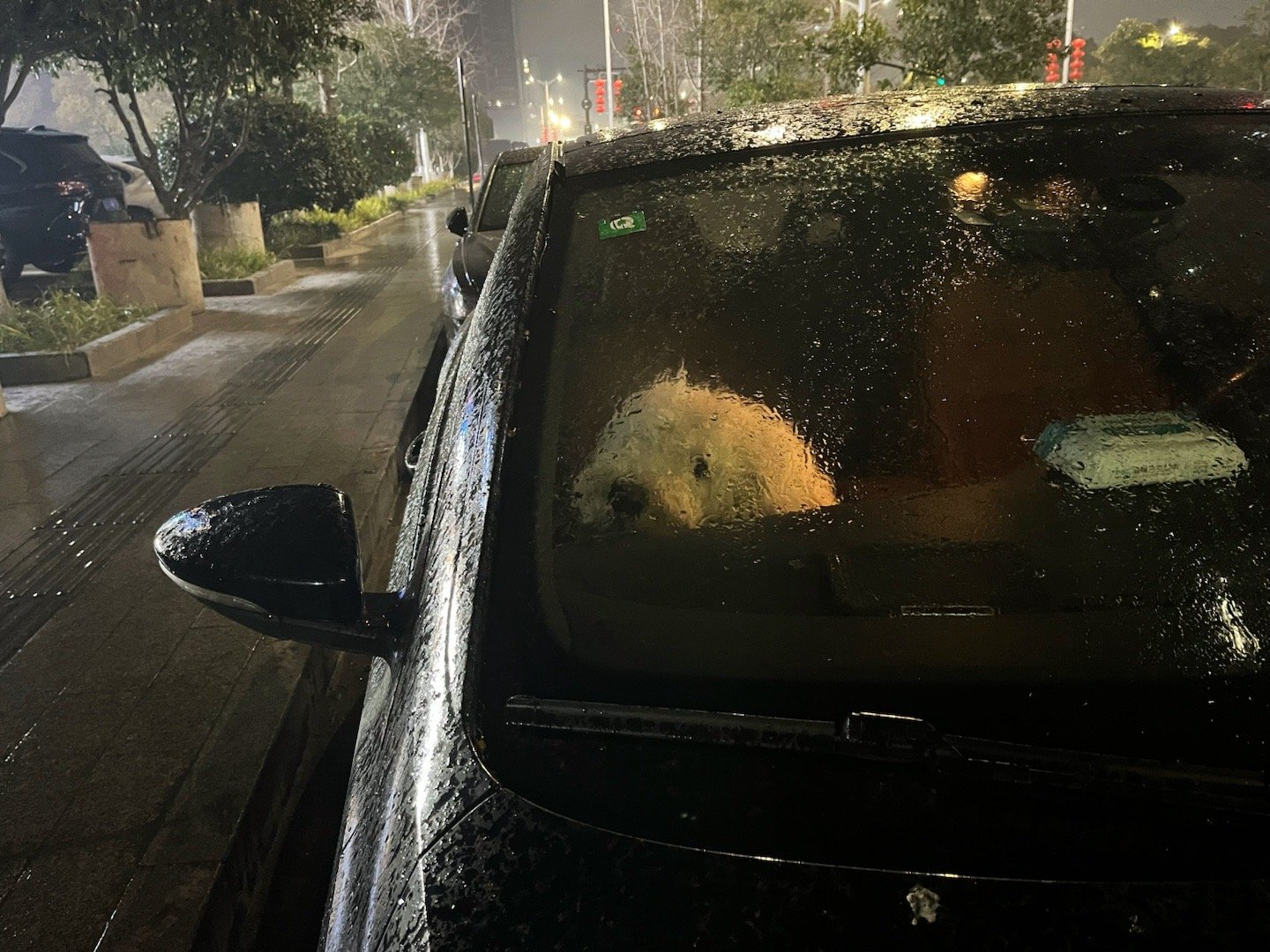 雨大就不带它进面包店吃小零食了，免得湿狗毛把店铺搞脏(虽然我知道店员小姐姐还是很