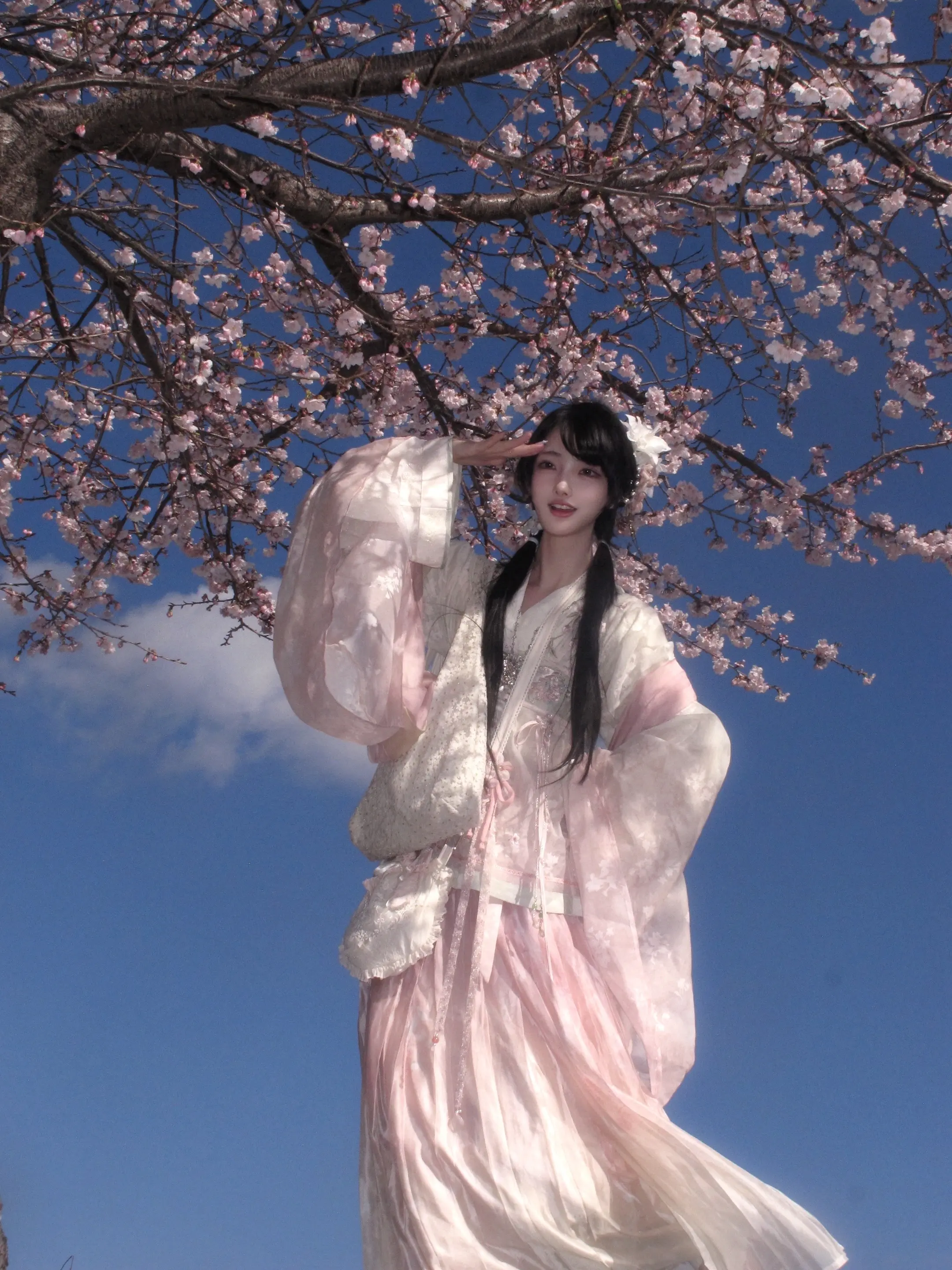 桜。难得穿了不是明制的汉服，买了很久终于有机会穿了  怎么不艾特摄影师！？ -