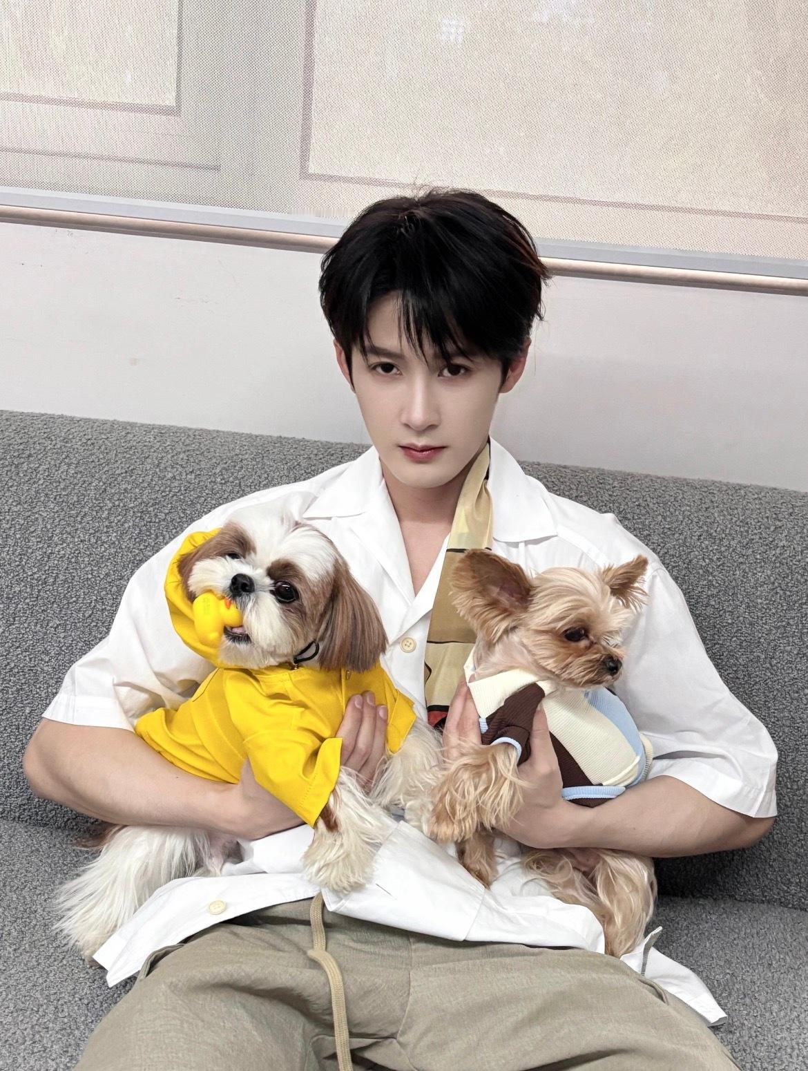 檀健次 三只单身狗檀健次：证明：三只单身狗。檀健次在多个平台发澄清声明说自己单身