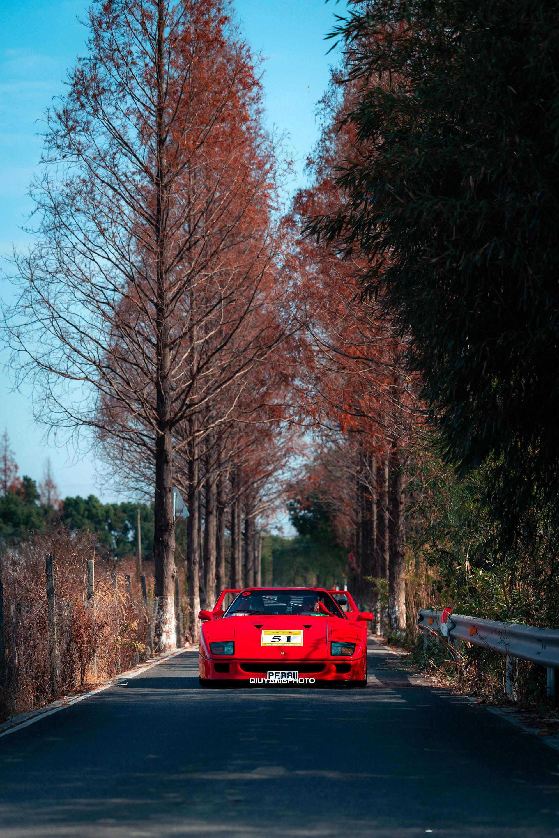 Ferrari F40 cars01豪车拍全民拍车 这几天F40 在江浙沪连着开