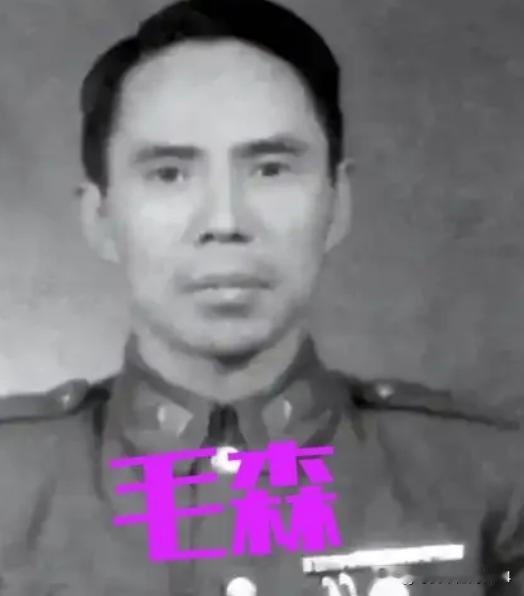 1992年，长期旅居美国的特务头子毛森，在生命垂危之时，向他的儿子吐露了心声：渴