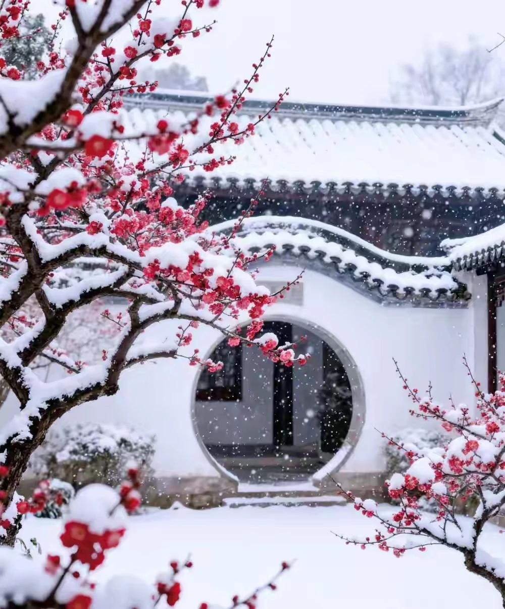 上联：雪覆梅枝藏雅韵，
下联：疏影横斜水清浅。