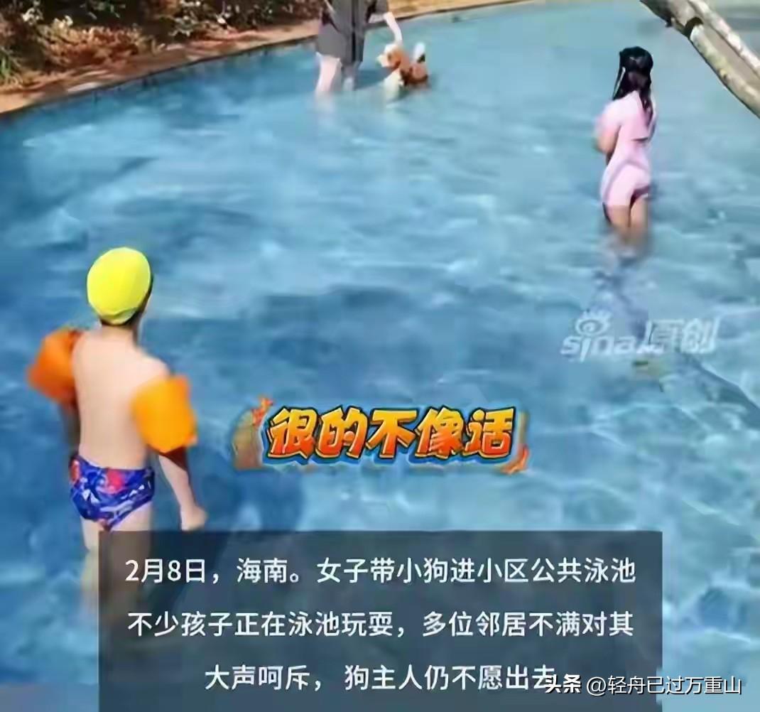 想不到，三亚这个女子带狗狗去小区公共游泳池游一次泳，花了2万多，她把狗狗带到公共