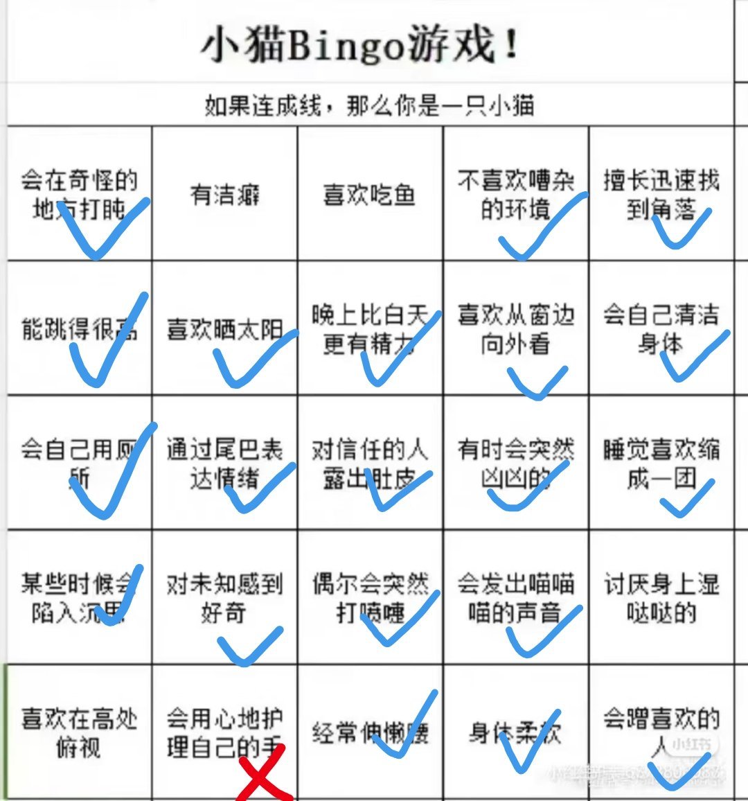 按照记忆，给某只小猫做了小猫bingo[嘻嘻][拳头]果然是小猫 