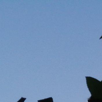 生活手记新的一周开始了，好好生活，努力工作，诸事顺遂，早安！ 