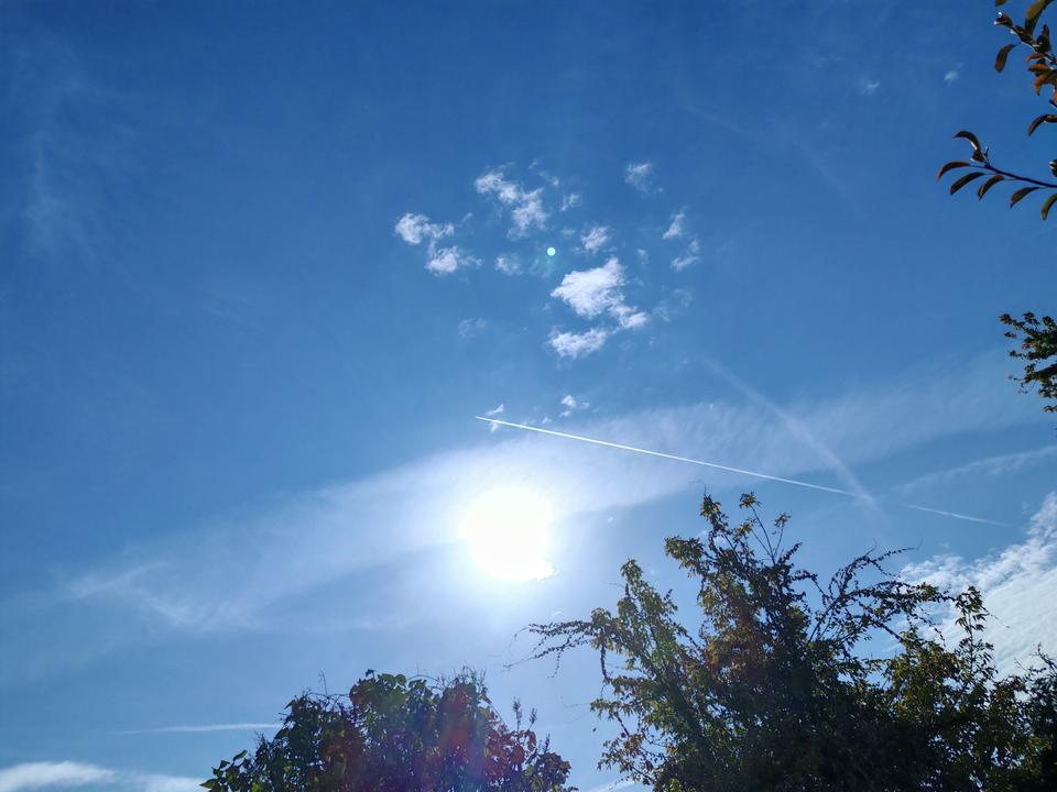 昨天，多伦多天气可真太好了！

一出门微风习习，有一股春天的味道迎面扑来！

阳