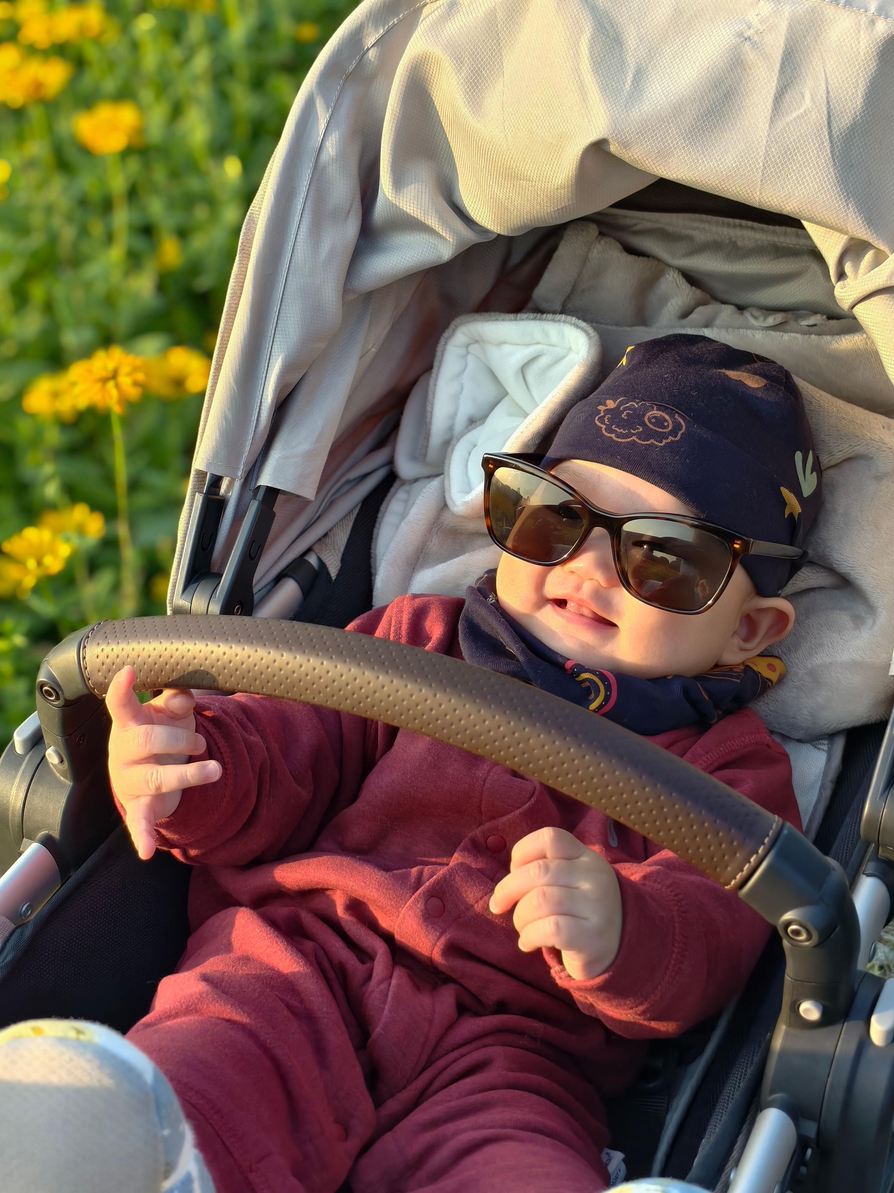 新的一周开始了～ 