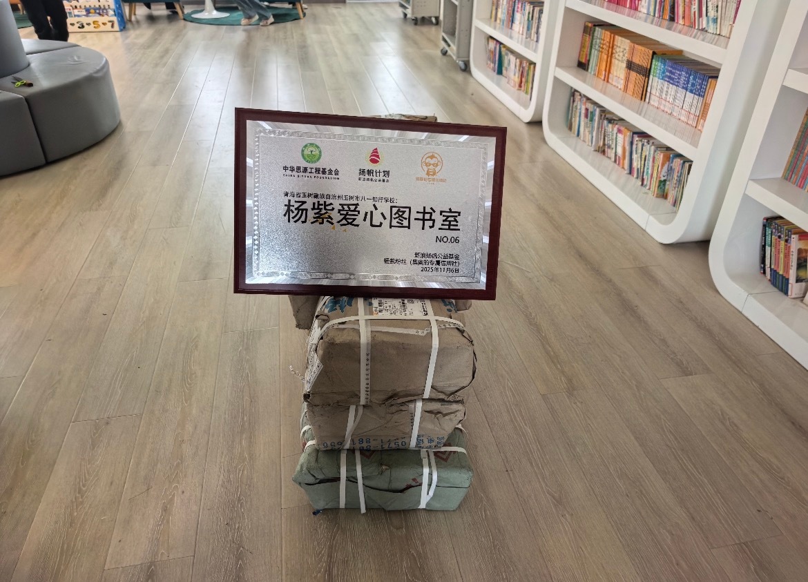 人民演员为人民杨紫