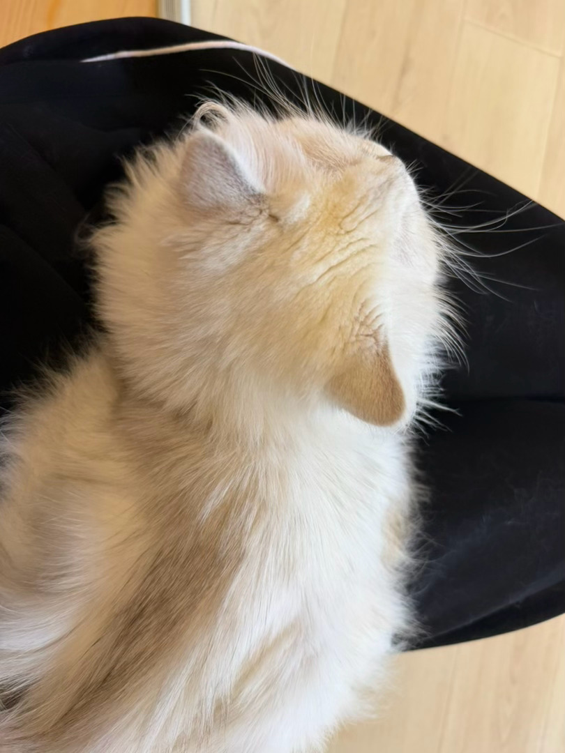 😚✨ 