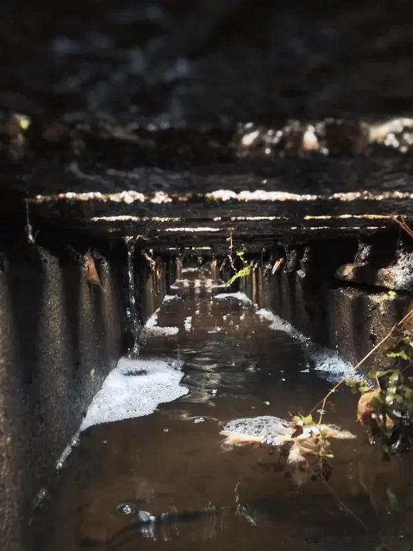 女子散步发现水沟有钱 7次捞出800元 广东一女子过年散步时，在水沟里七次捞出8