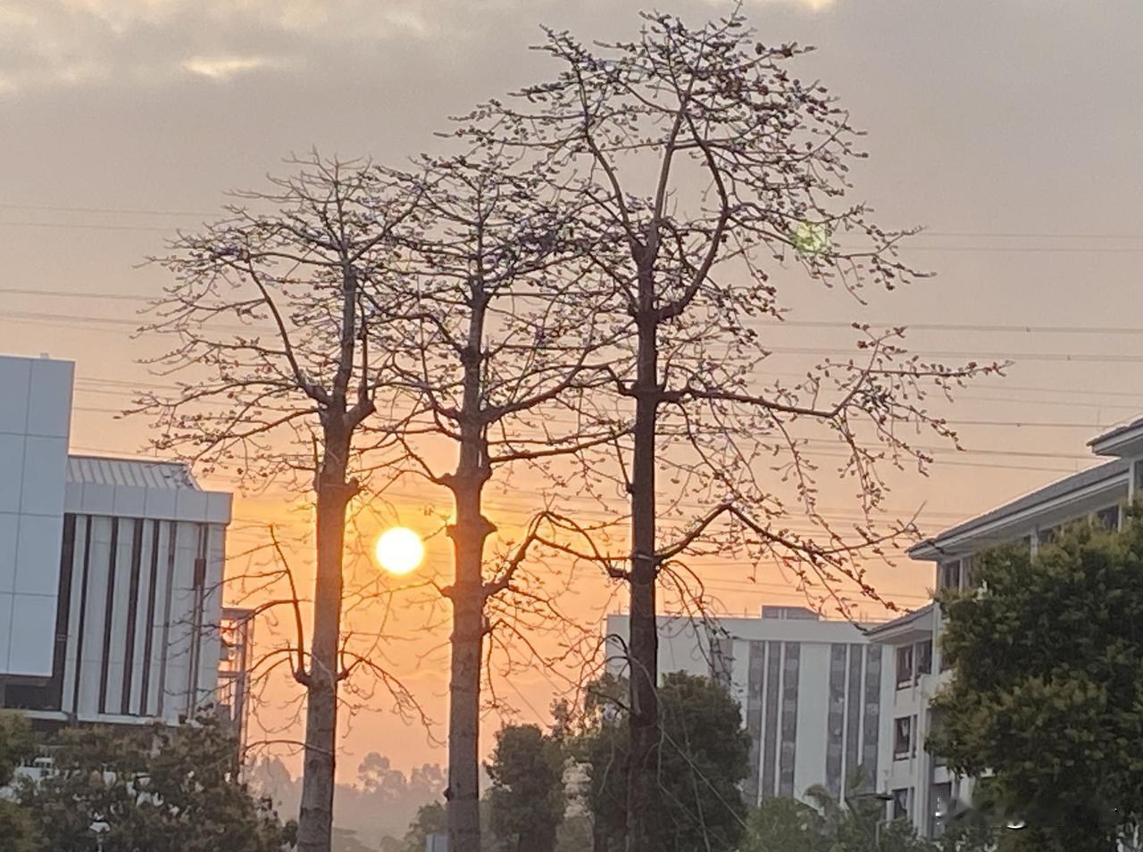 快来看看我新换的主页背景吧