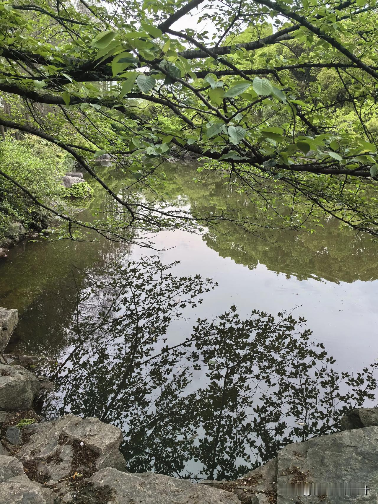 早上好！昨天是场梦，明天是幻影。唯有今天，才会使每一个昨天变成一个快乐的梦，使每