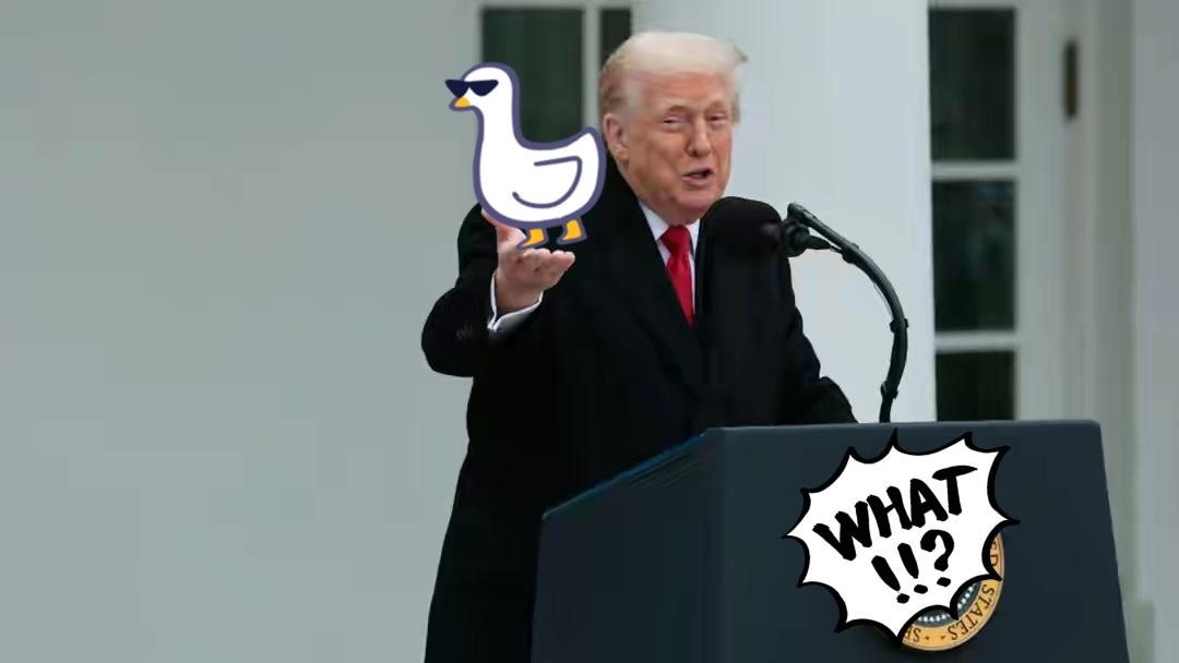 美国总统特朗普传来新消息了！

当地时间1月11日，美国总统特朗普说，伊朗方面要