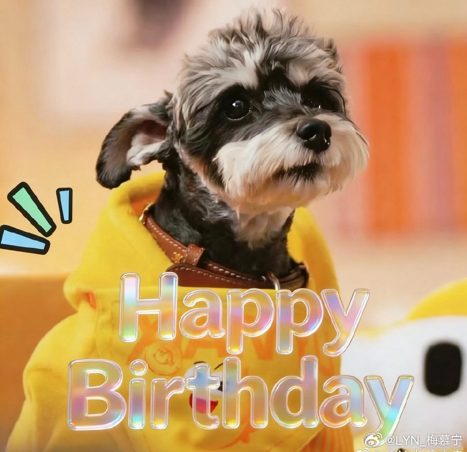 摩登兄弟 | 刘呆米0327生日快乐 昨天经纪人哥哥官宣了二巡南京收官站演唱会，