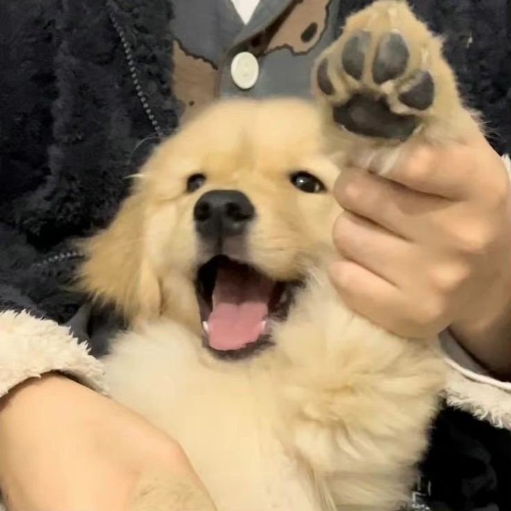 👅 ​​​