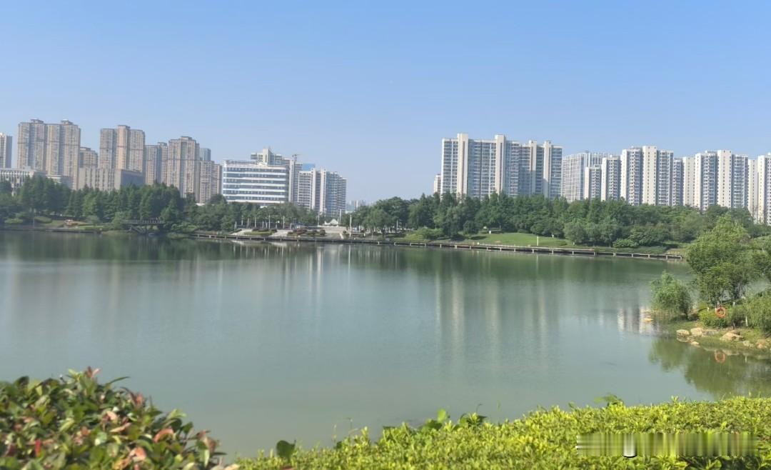 ❤️公司的监督制度让人窒息

公司里面四周围都有监控，你以为是为了防止外人盗窃的