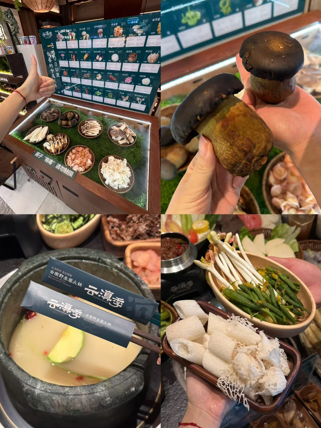 吃到宝藏见手青！夏天的山野鲜味被拿捏了