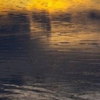 养养 见过太多人把日子过得兵荒马乱，究其根本，是太想掌控一切、太急于求成。总想立
